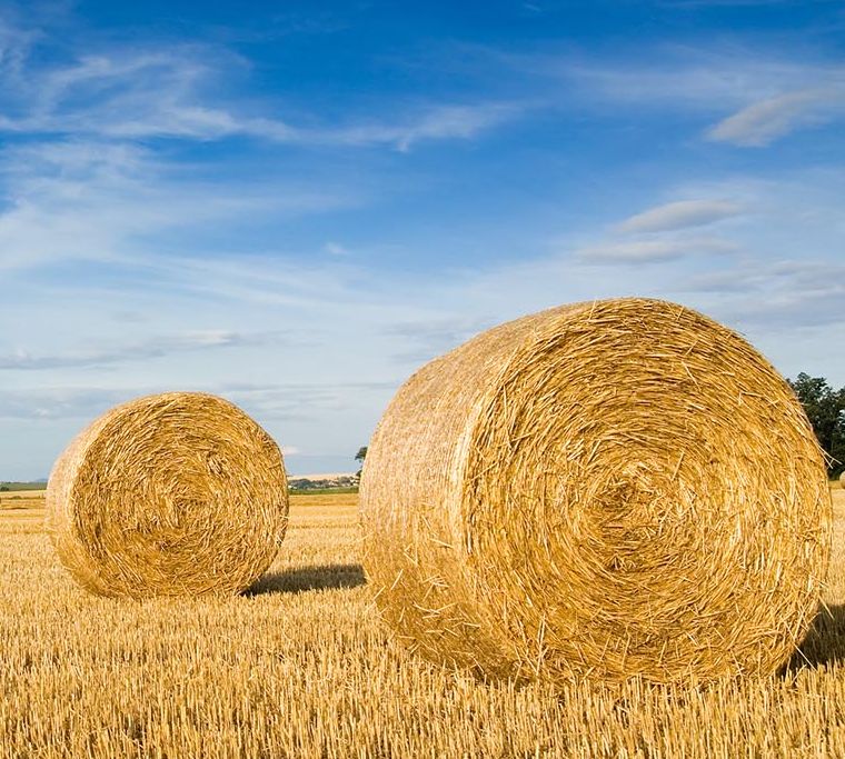 Straw Bales