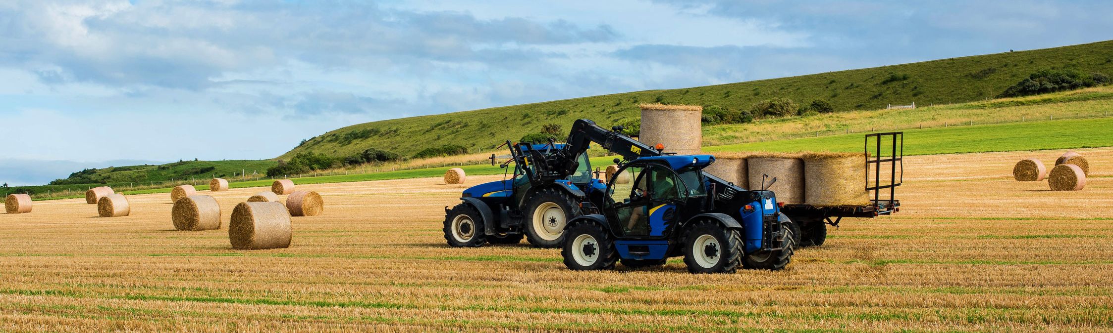 Agriculture