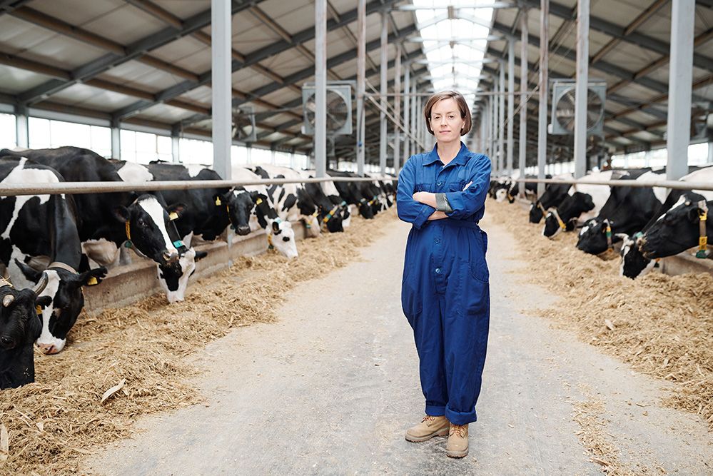 Dairy Cattle Finance