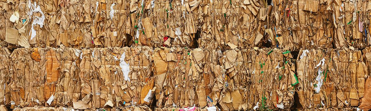 Waste & Recycling for Vendors